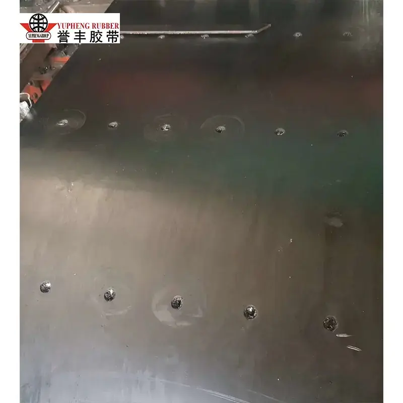 ইস্পাত কর্ড বালতি লিফট বেল্ট